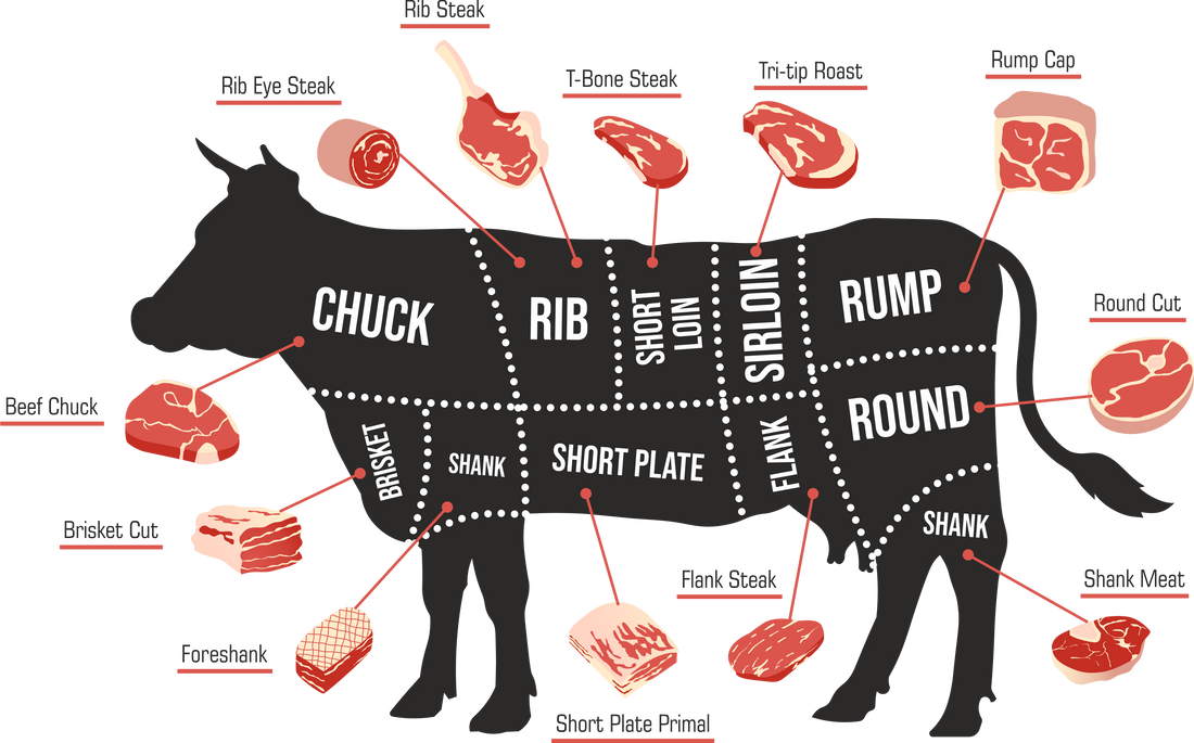 Beef Cuts: The Complete Guide to the Most Common Cuts of Beef