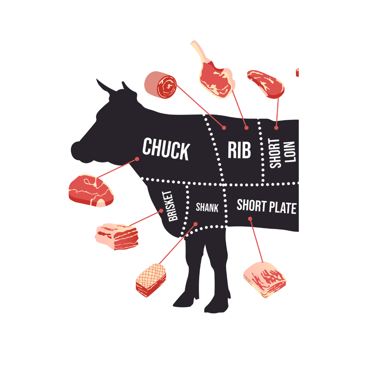 How Much is Half a Cow - What Size Freezer for 1/2 a Cow?