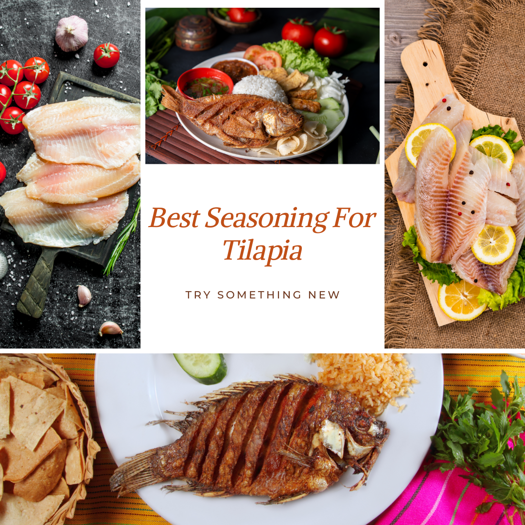 Tilapia Seasoning Recipe – The Best Herbs and Spices to Try