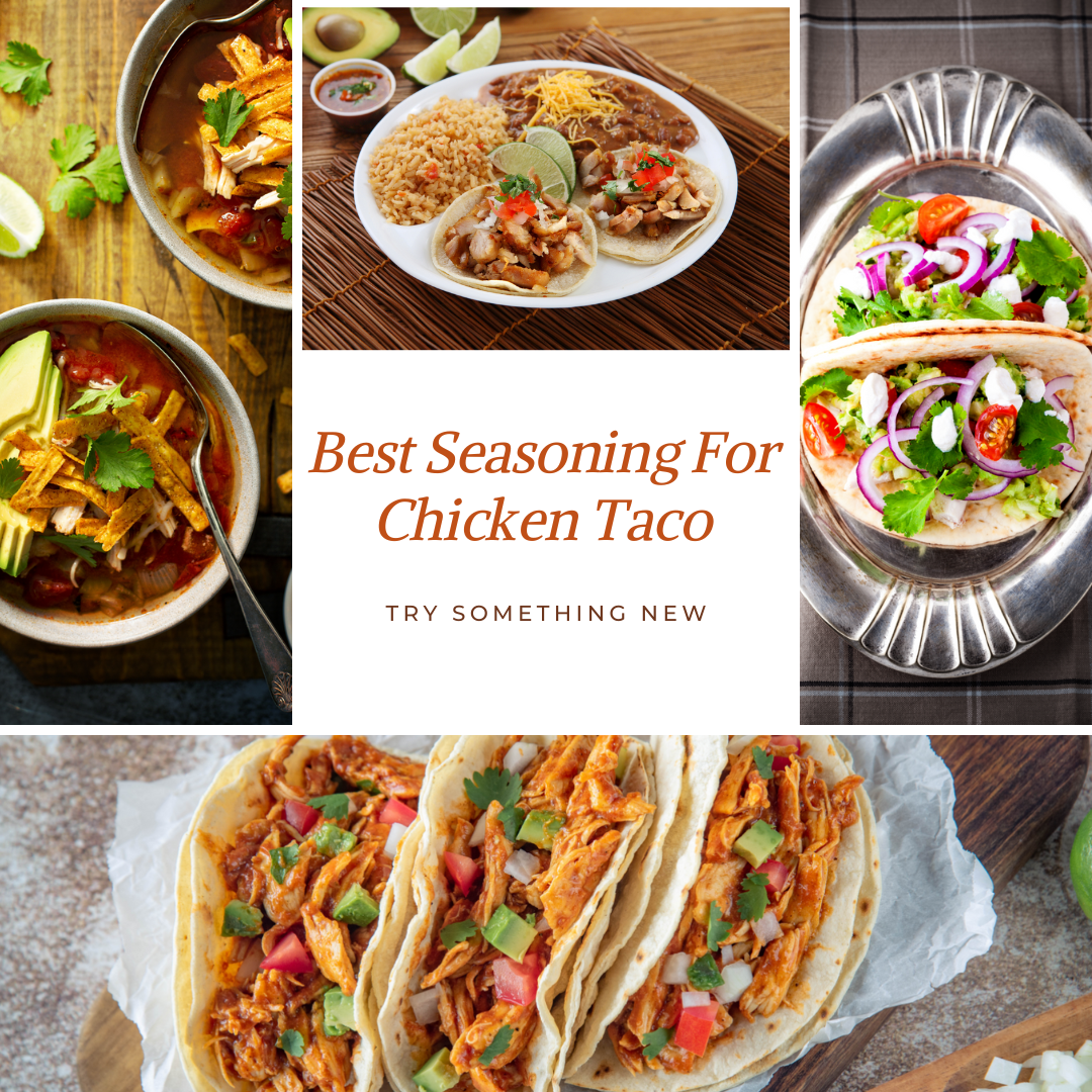 Chicken Taco Seasoning – The Best Herbs and Spices to Try