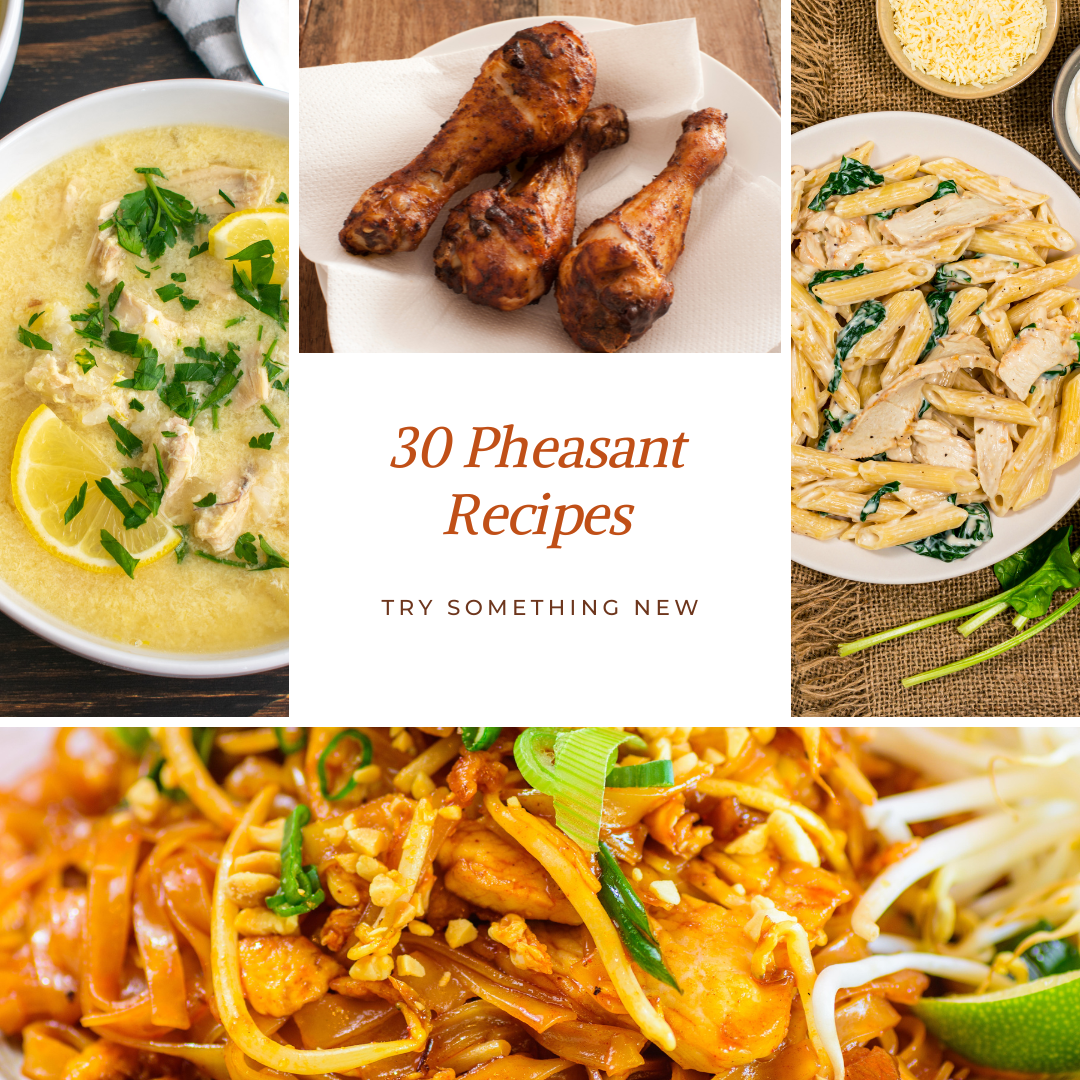 30 Flavorful and Unique Pheasant Recipes