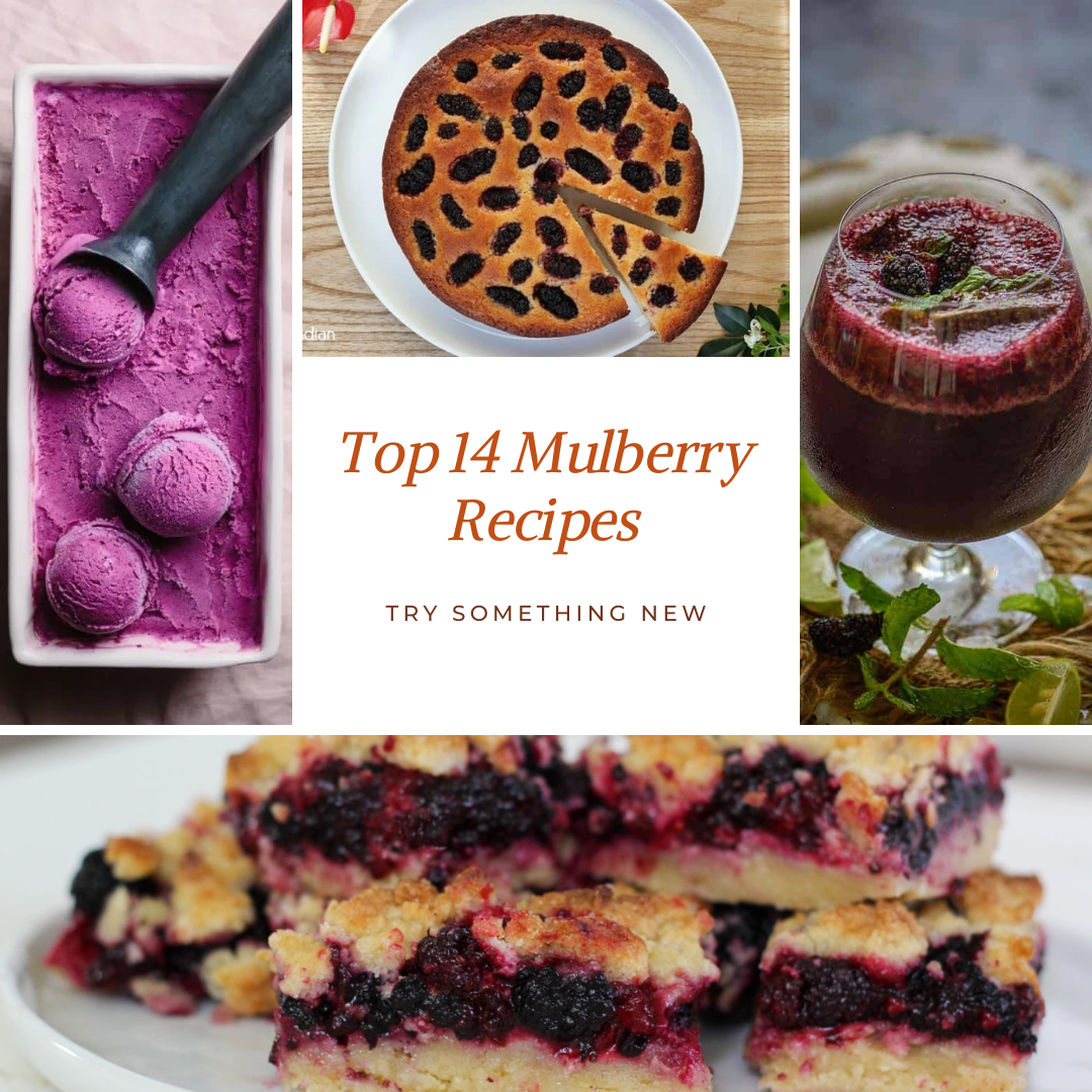 Top 14 Mulberry Recipes (That Aren't Jam) - Ice Cream and Tarts YUMM