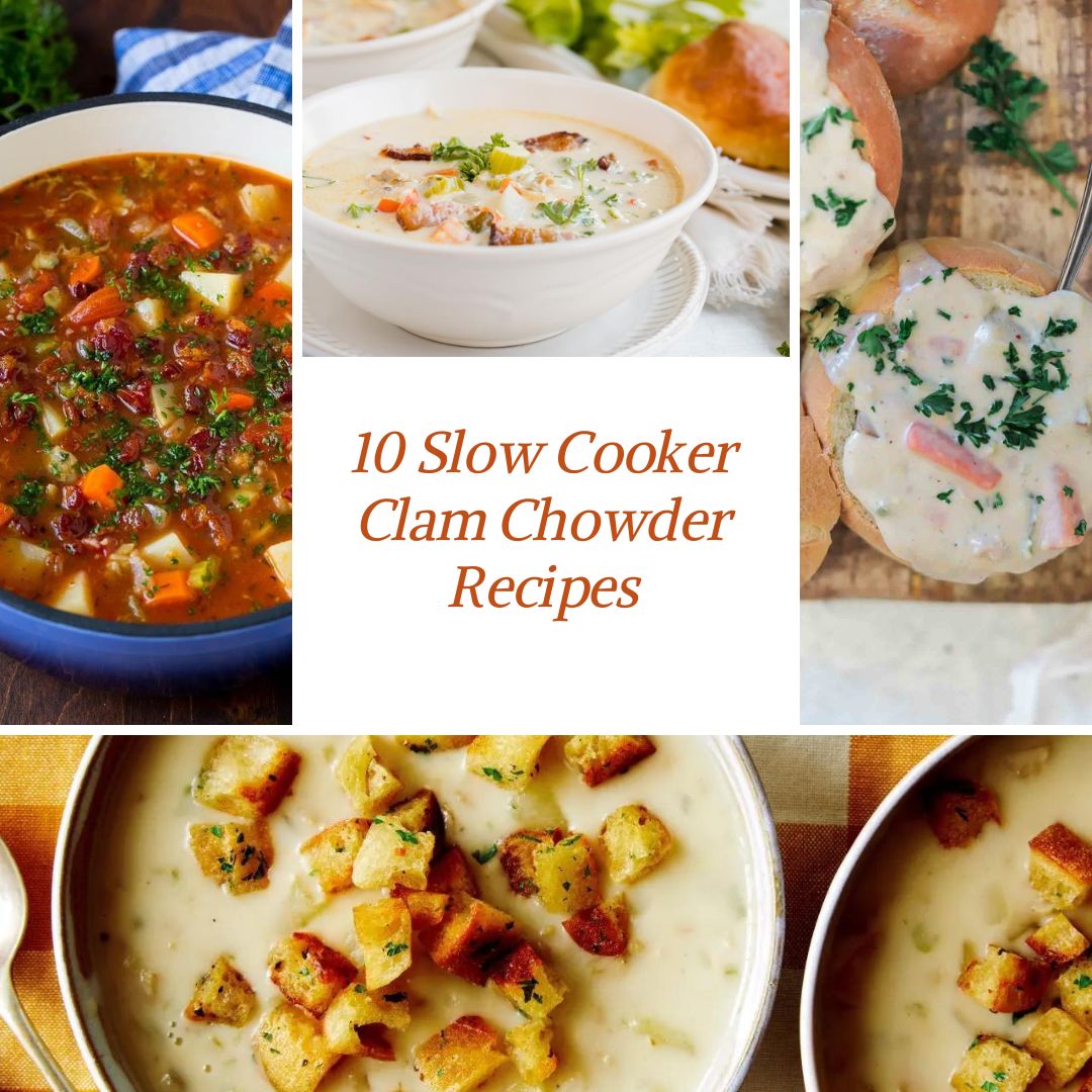 10 Best Slow Cooker Clam Chowder Home Made Recipes