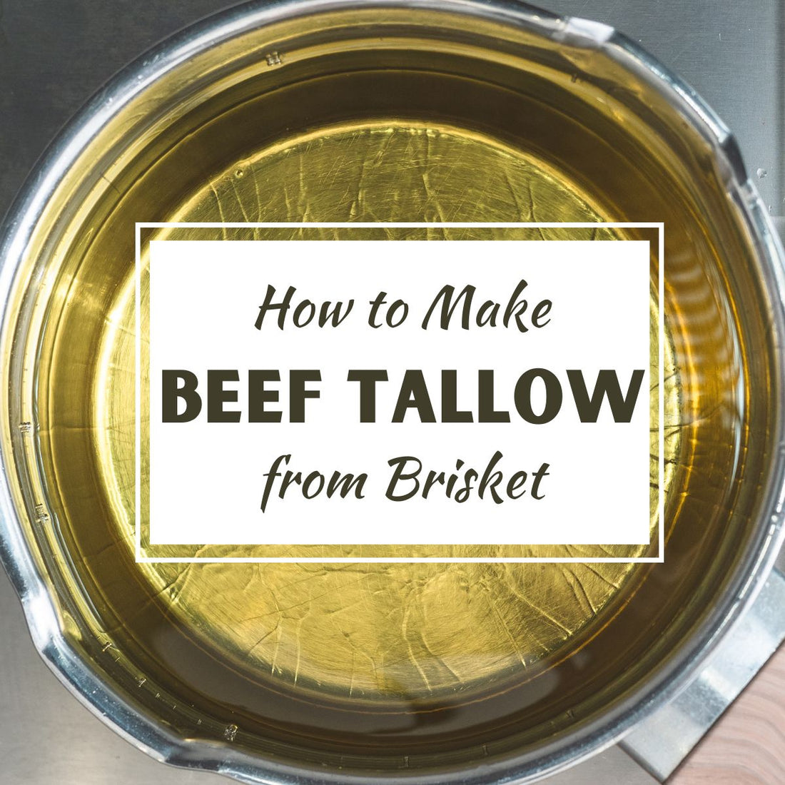 graphic image top view of a pot of oil to show how to make beef tallow from brisket