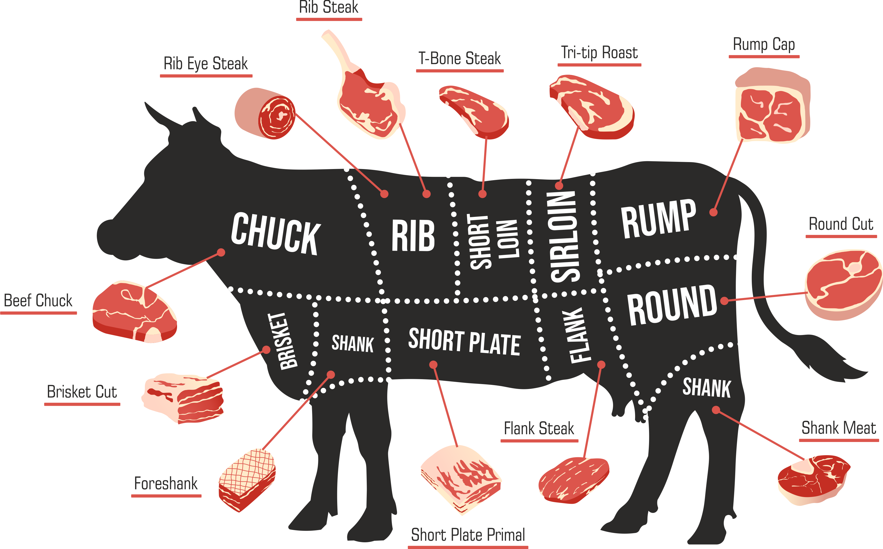 Beef Cuts: The Complete Guide to the Most Common Cuts of Beef