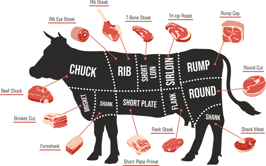 The Complete Guide to the Most Common Cuts of Beef