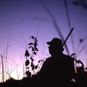 silhouette of a duck hunter, best gifts for duck hunters