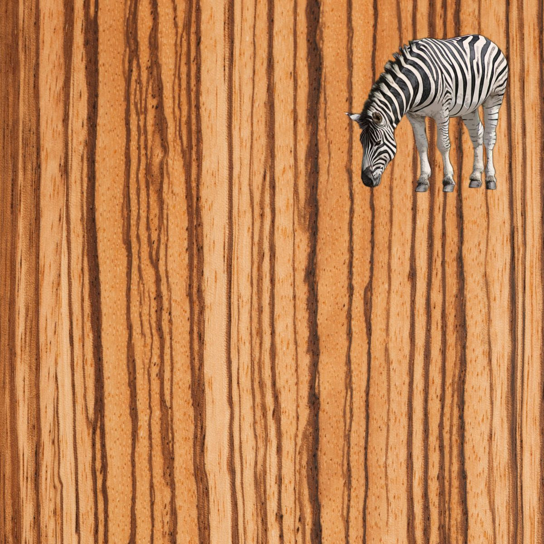 Is Zebra Wood A Good Wood For Cutting Boards or Butcher Blocks?